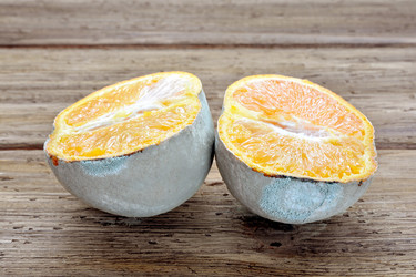 Similar image 21672786