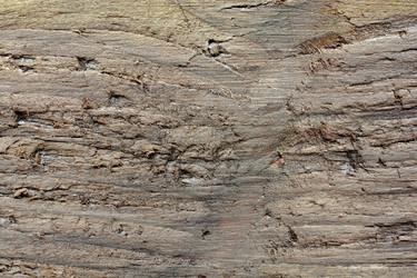 Similar image 21672788