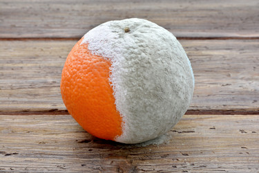 Similar image 21673500