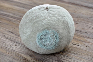 Similar image 21671584