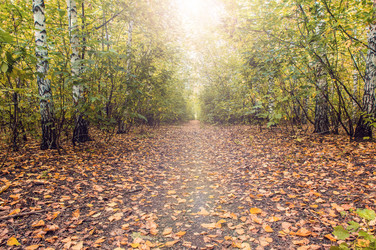 Similar image 21672791