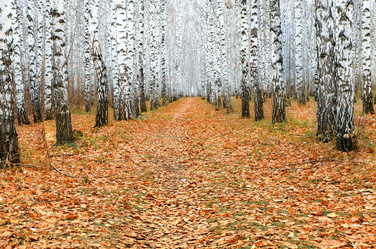 Similar image 21673503