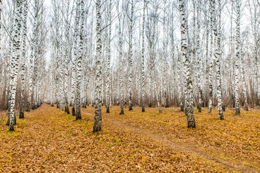 Similar image 21672792