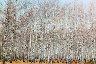 Similar image 21671587