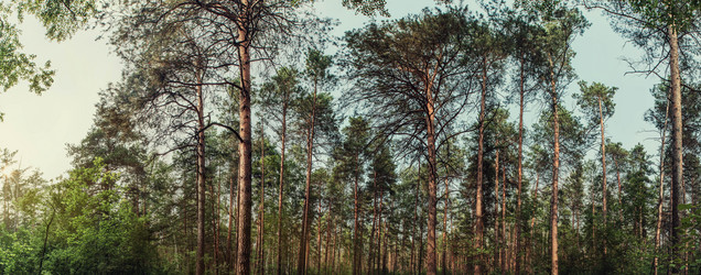 Similar image 21671588