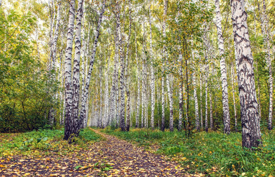 Similar image 21672793