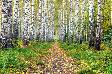 Similar image 21671590