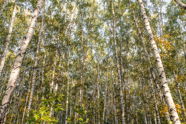 Similar image 21671591