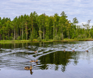 Similar image 21668692