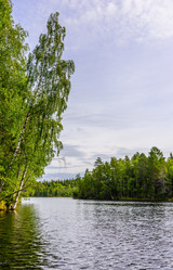 Similar image 21668732