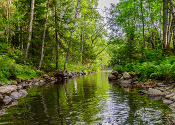 Similar image 21668734