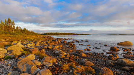 Similar image 21668746