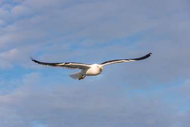 Similar image 21668754