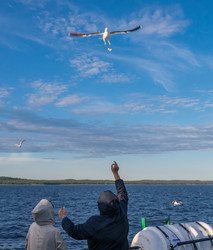 Similar image 21668757