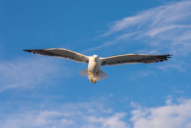 Similar image 21668758