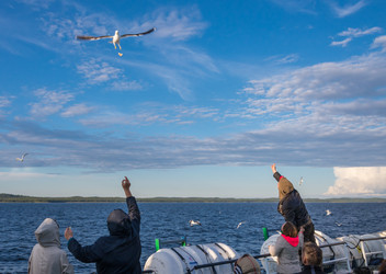 Similar image 21668759