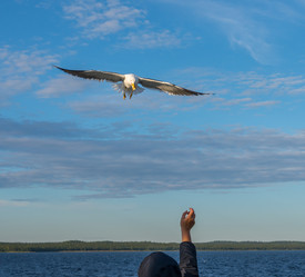 Similar image 21668760