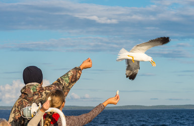 Similar image 21668762