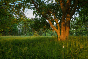 Similar image 21669131