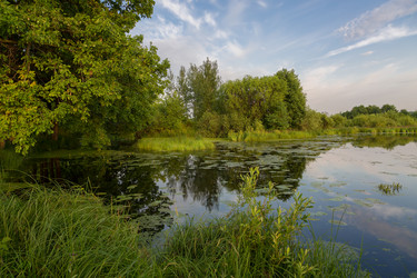 Similar image 21669133