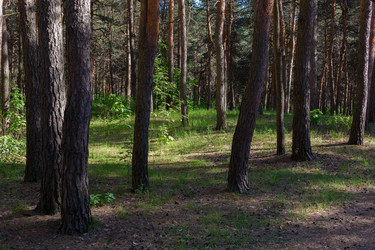 Similar image 21669136