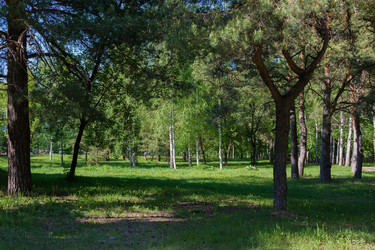 Similar image 21669137