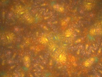 Similar image 21669439