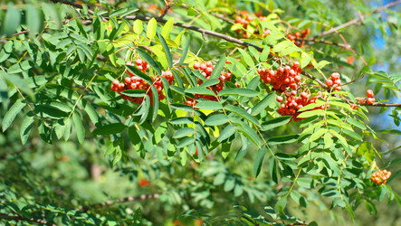 Similar image 21668966