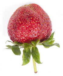 Similar image 21668976