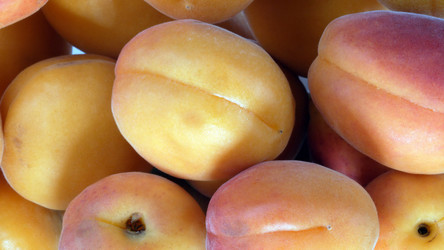 Similar image 21668991