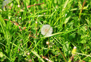 Similar image 21668998