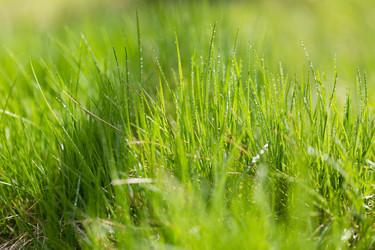 Similar image 21669143