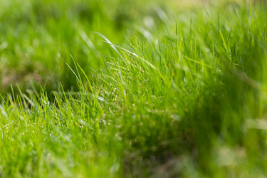 Similar image 21669144