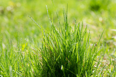 Similar image 21669146