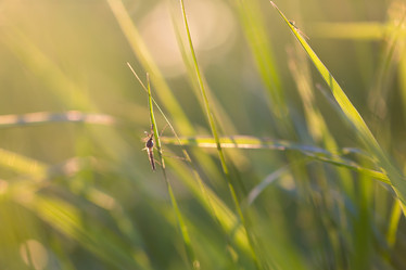 Similar image 21669147