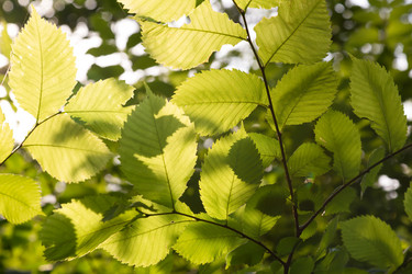 Similar image 21669148