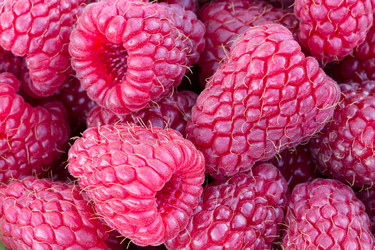 Similar image 21668818