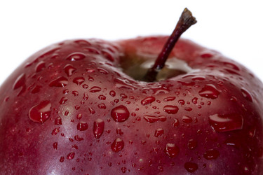 Similar image 21668822