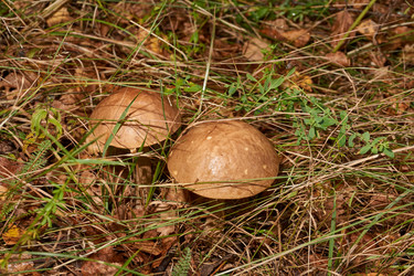 Similar image 21668783