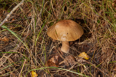 Similar image 21668784