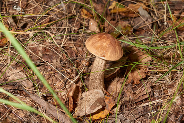 Similar image 21668786