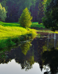 Similar image 21669006