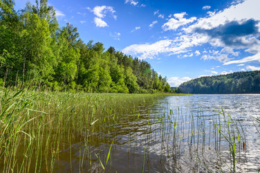 Similar image 21669014