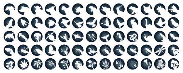 Similar image 21670607