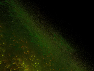 Similar image 21669460