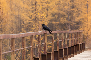 Similar image 21669152