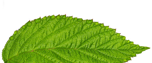 Similar image 21669166