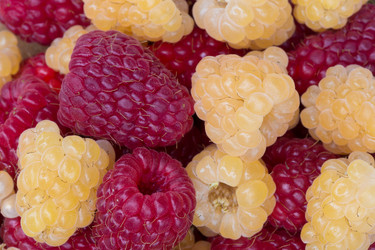 Similar image 21669170