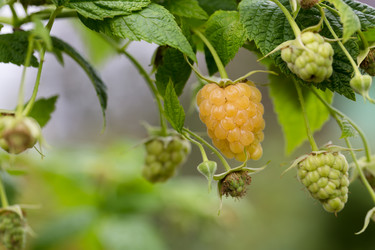 Similar image 21669172