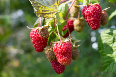 Similar image 21669173